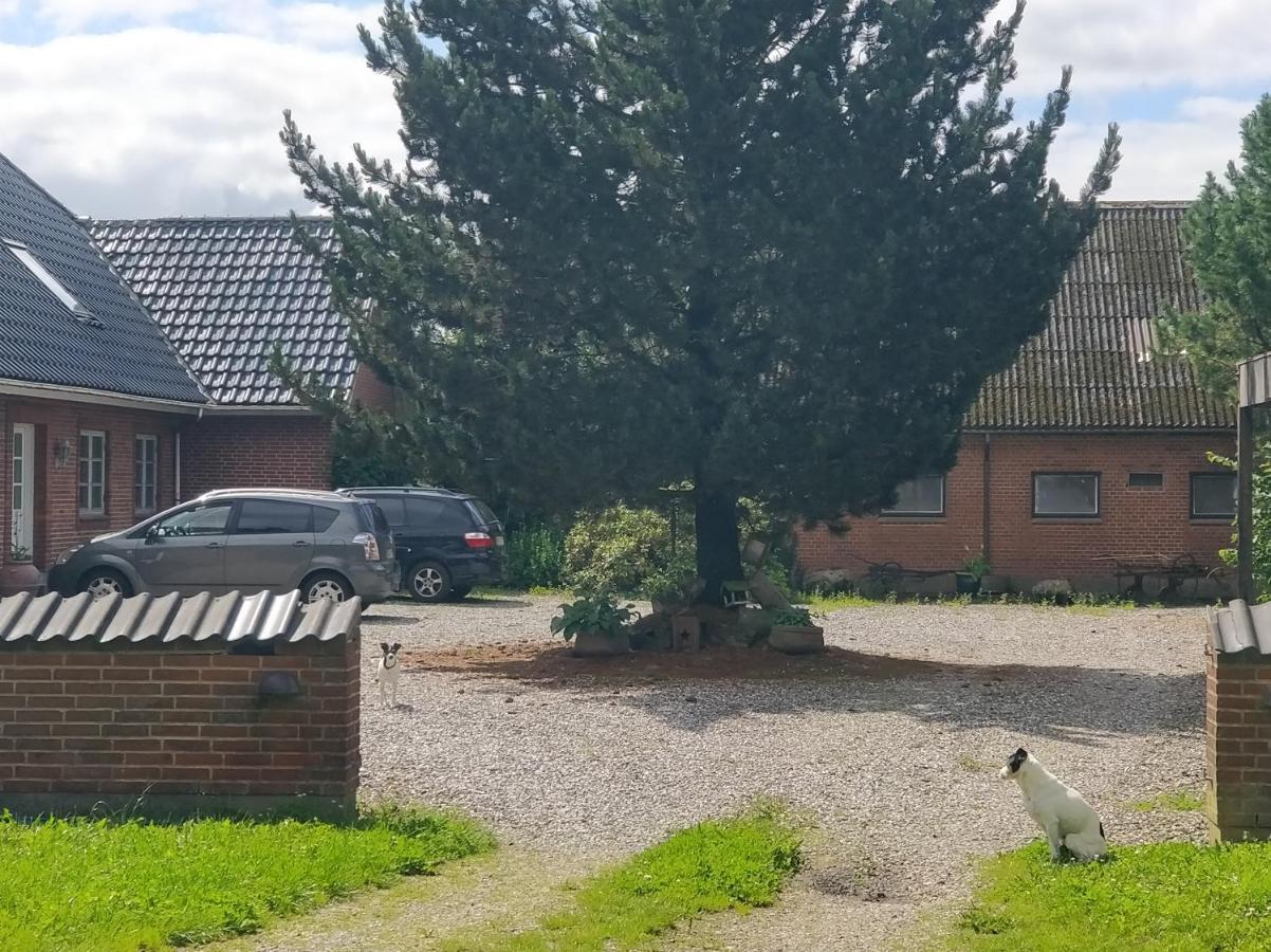 Jelling Kristinebjerg 아파트 외부 사진